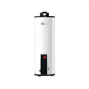 Calentador de Gas Maximus G-10 38L
