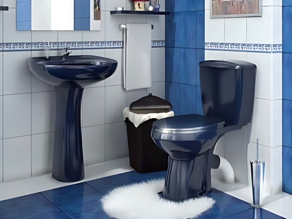 Baño Premier Negro